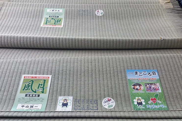 2番人気